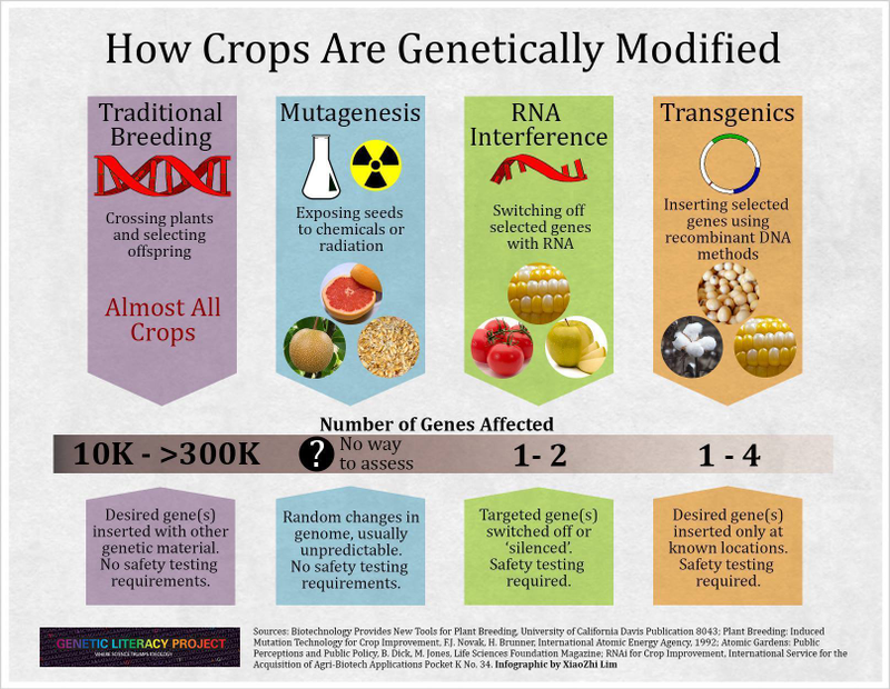 Illustration for article titled It's Tuesday So Have Two Philosophy Jokes And This Infographic From The Genetic Literacy Project